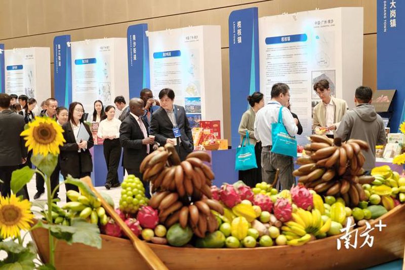 商贸行业的机遇与挑战：商贸公司的角色再思考